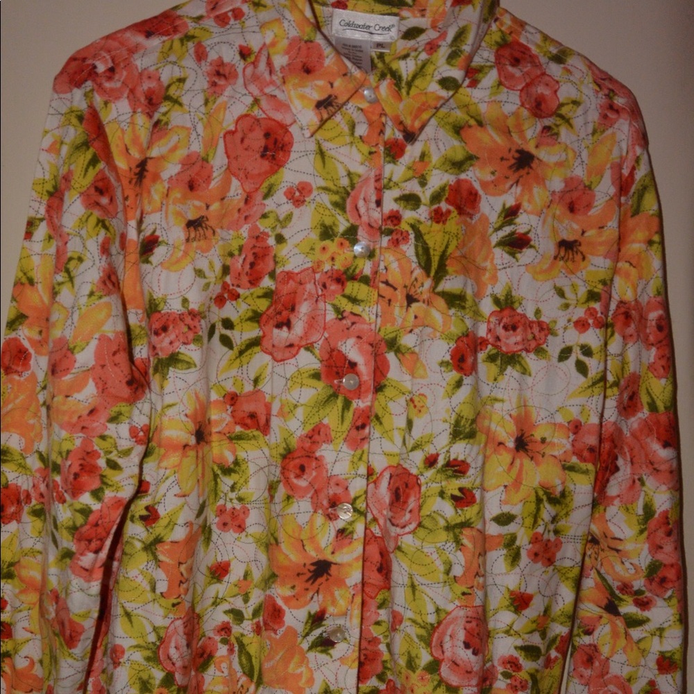 Button down jacket